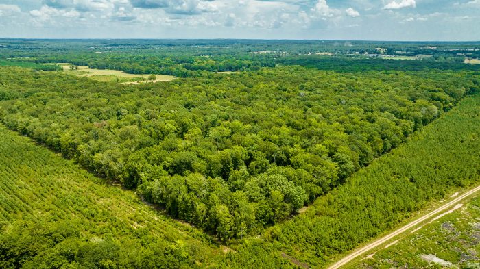 DJI_0690 DJI_0690
